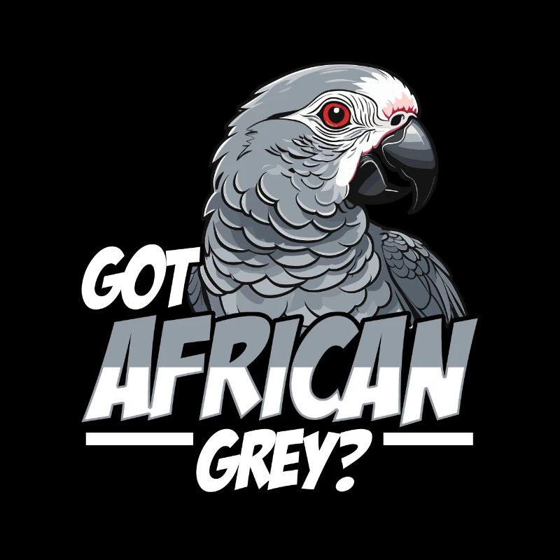 Got African Grey Bird Owner African Grey Lover
