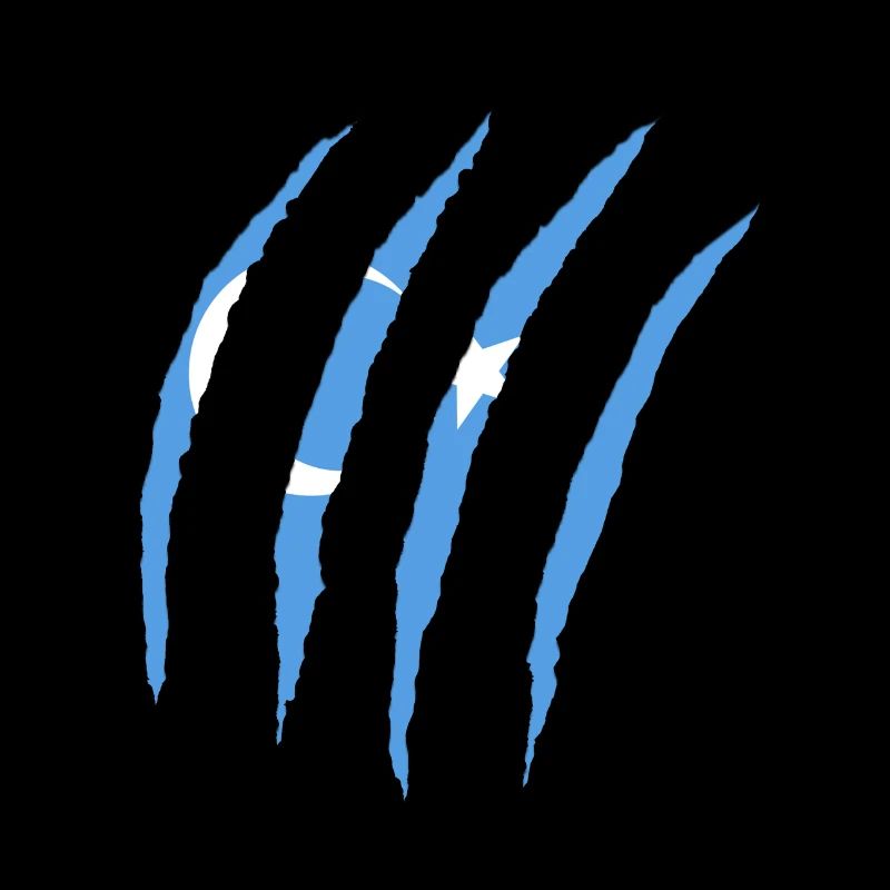 uyghurs