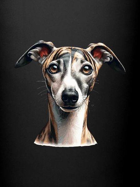 Dog Face - Whippet