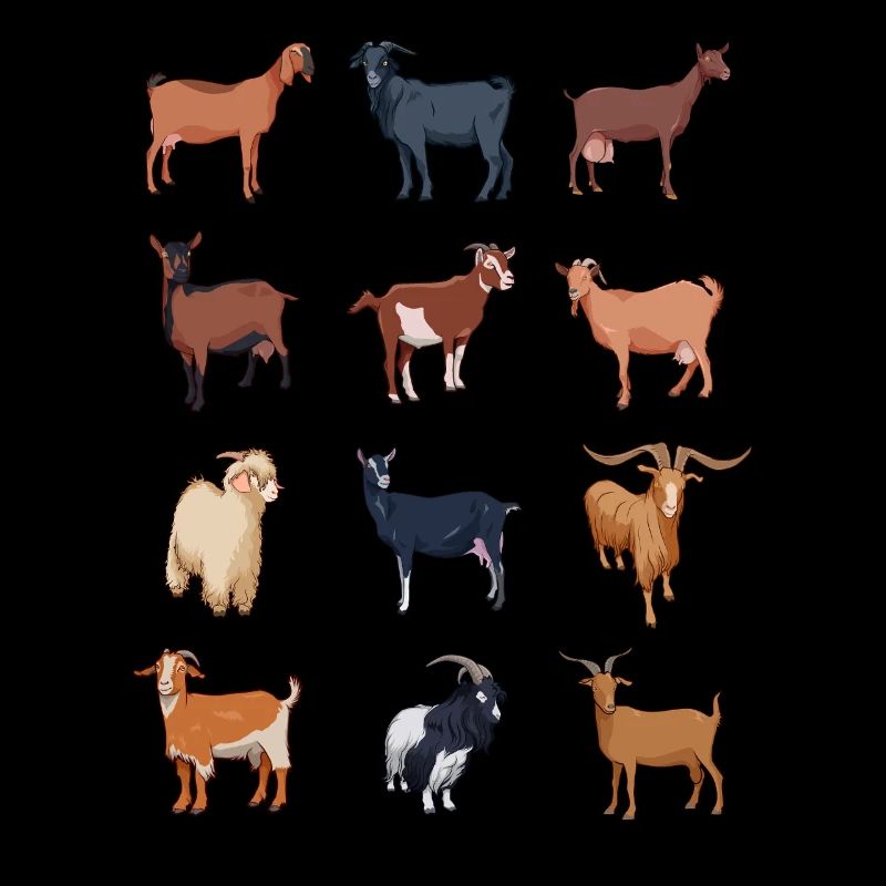 Many different goats