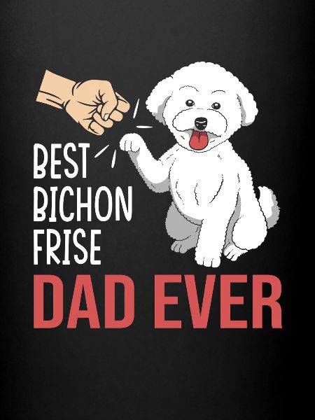 Bichon frisé Chien