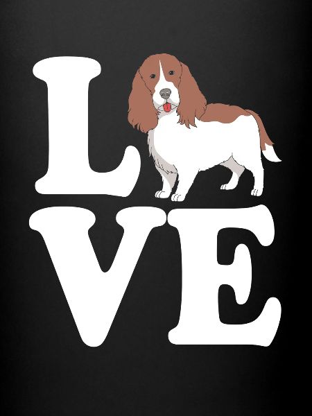 Chien Springer Spaniel