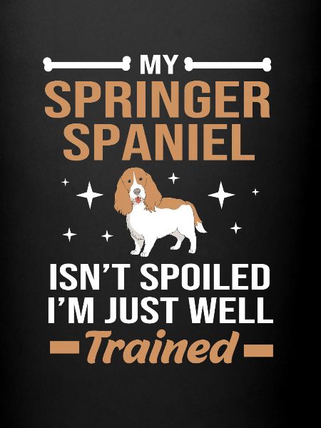Épagneul springer