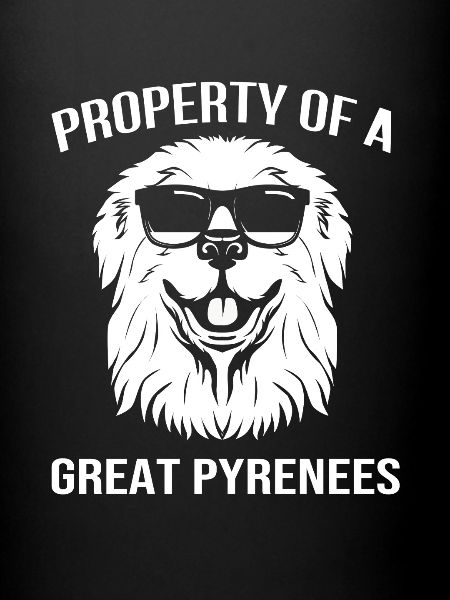 Chien des Pyrénées