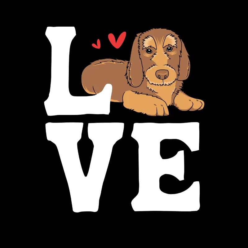 Dachshund wire-haired dachshund