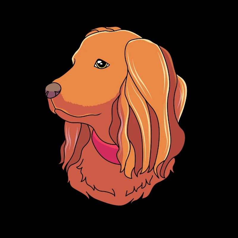 Boykin Spaniel