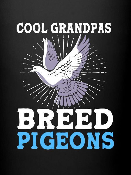 Pigeons Pigeon