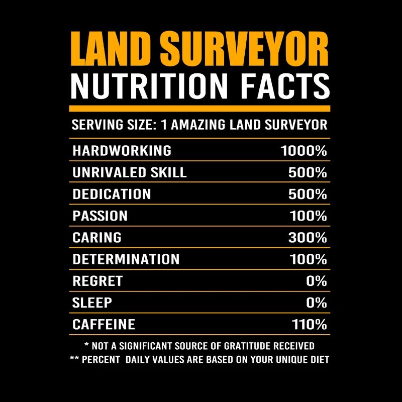 Surveyor