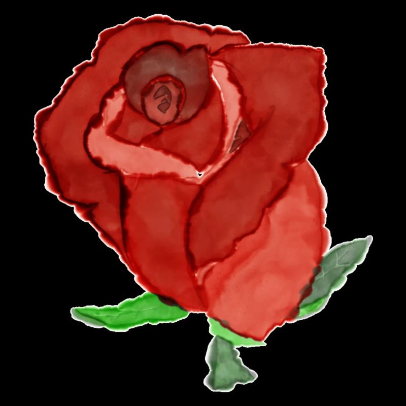 Romantic Rose Illustration