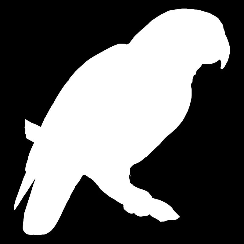 parrot