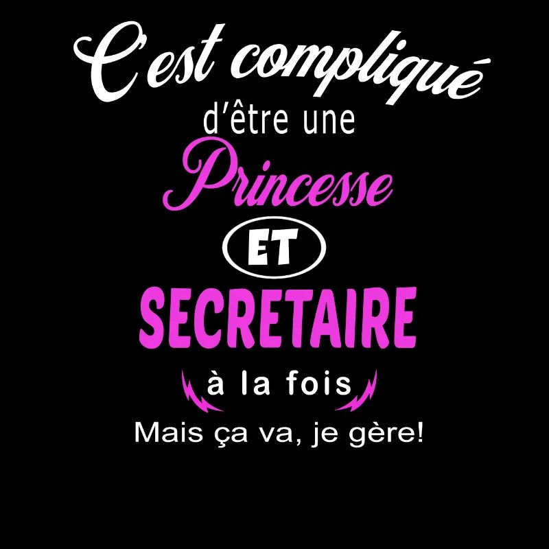 c'est compliqué princesse et secretaire
