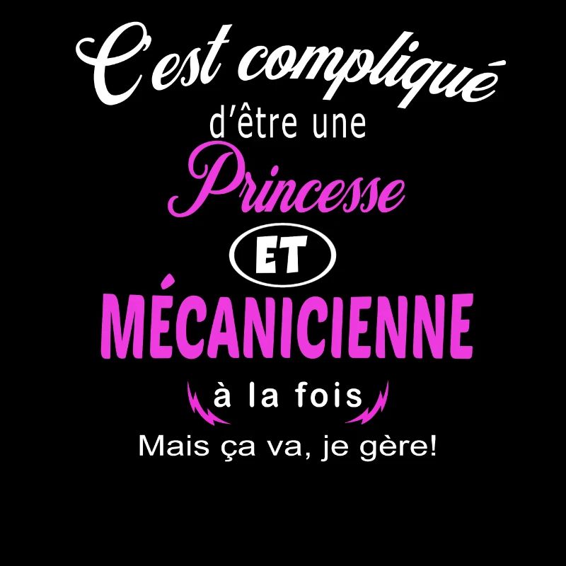 c'est compliqué princesse et mécanicienne