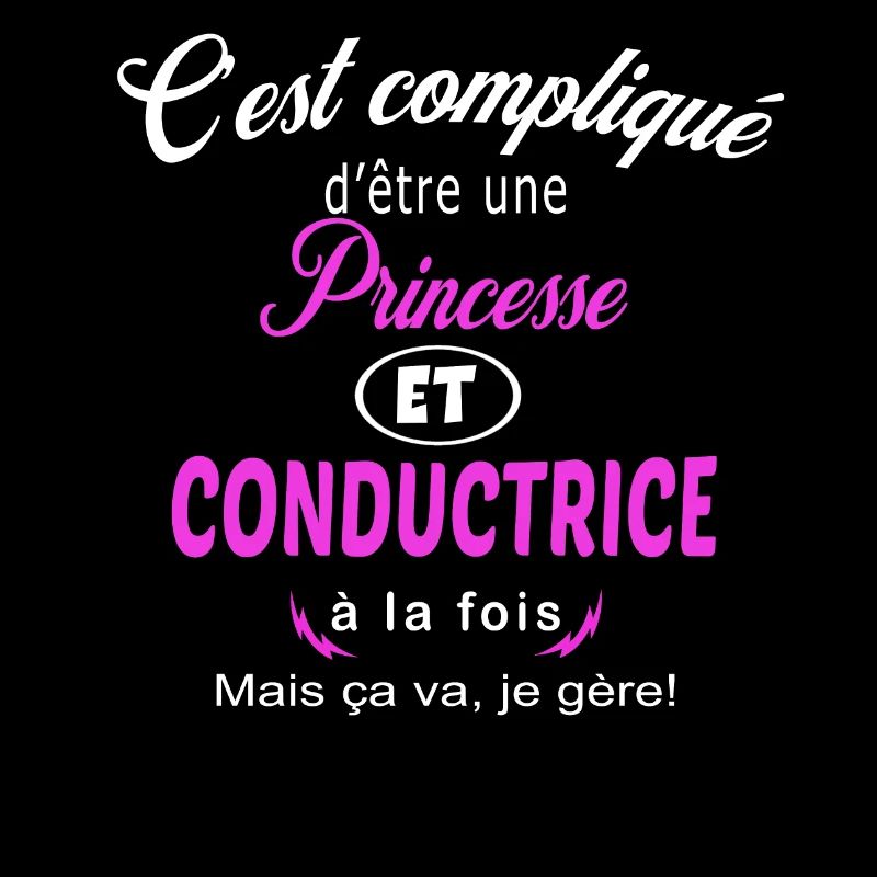 c'est compliqué princesse et conductrice