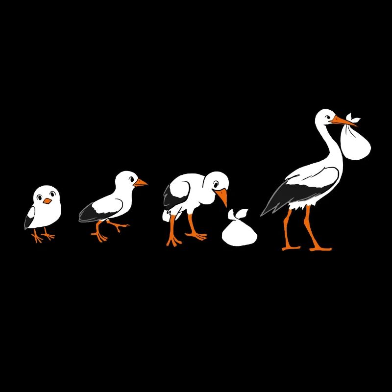 Stork evolution