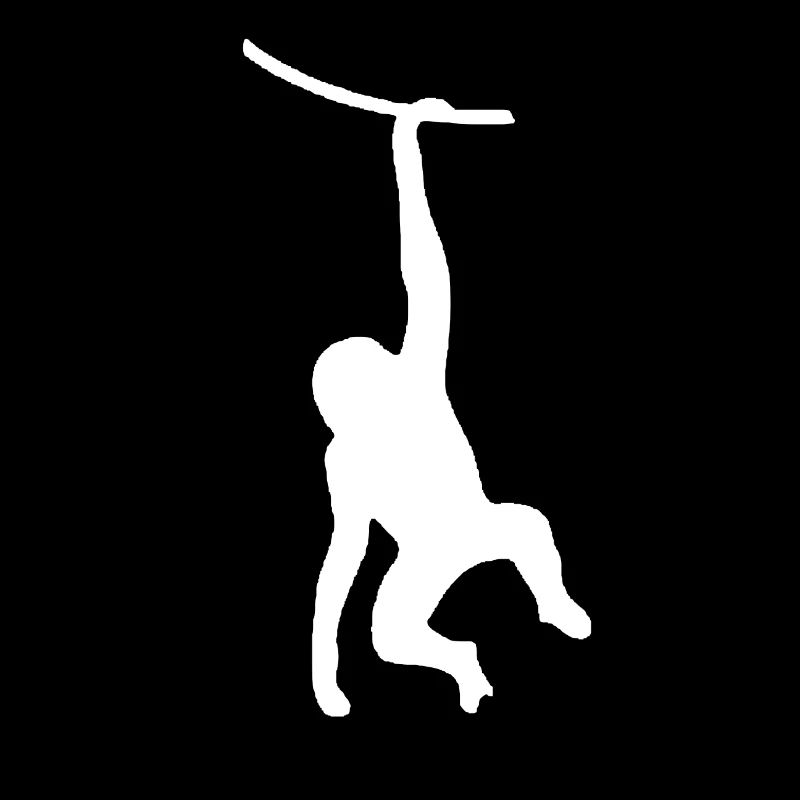 Singe blanc dans la jungle