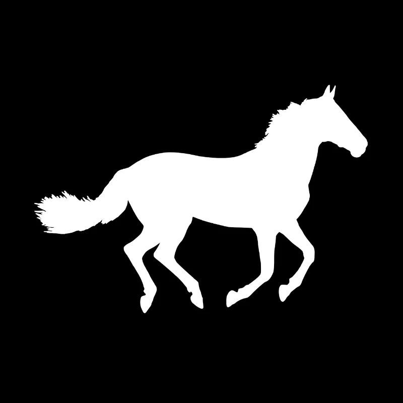 Cheval blanc dans la nature