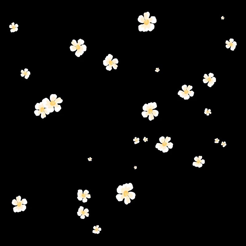 camomille fleur beau cadeau