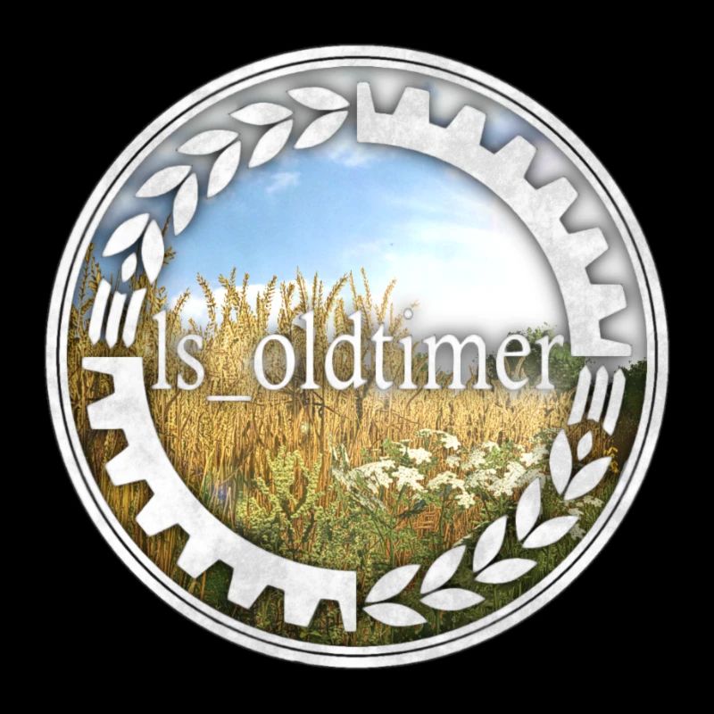 ls_oldtimer Logo