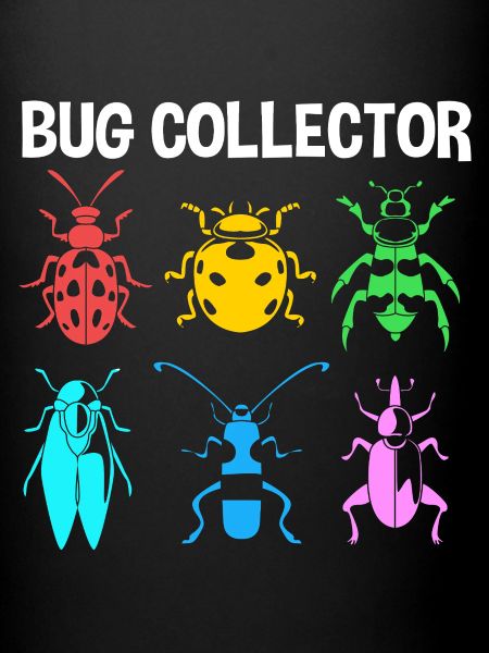 Insecte
