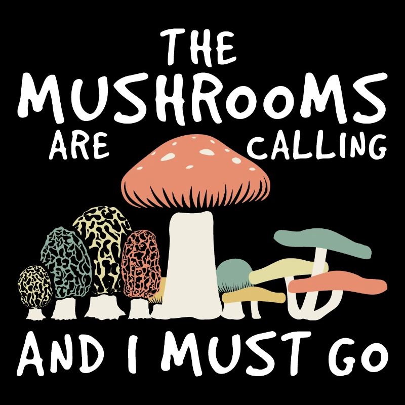 Morilles aux champignons