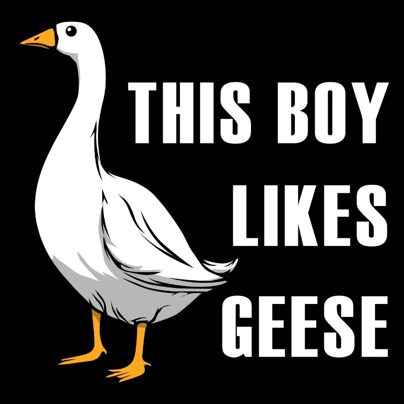 Oies, faune, oiseau, oie mignonne