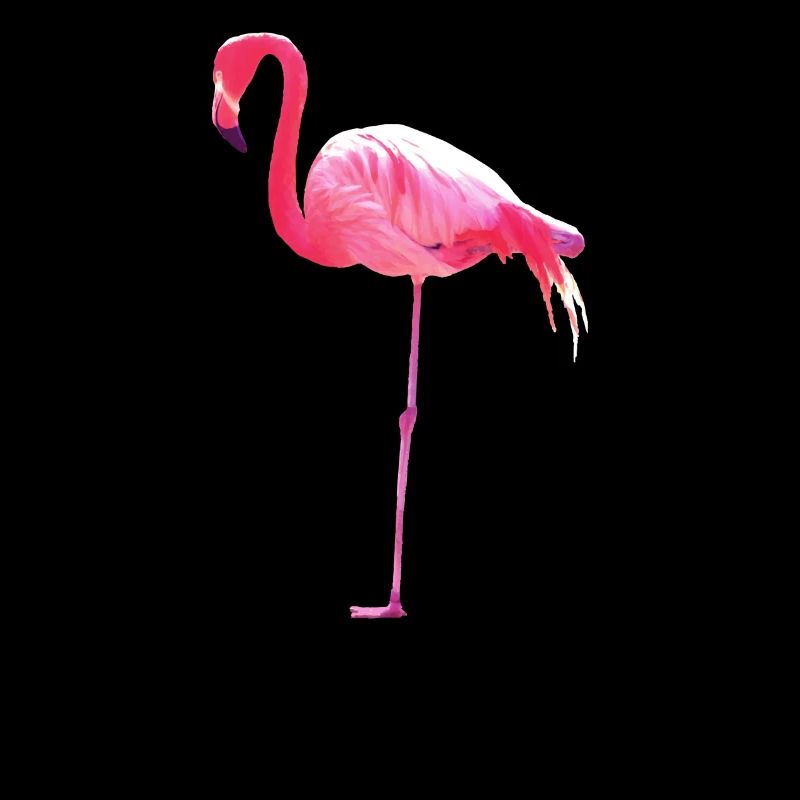 Pink Flamingo