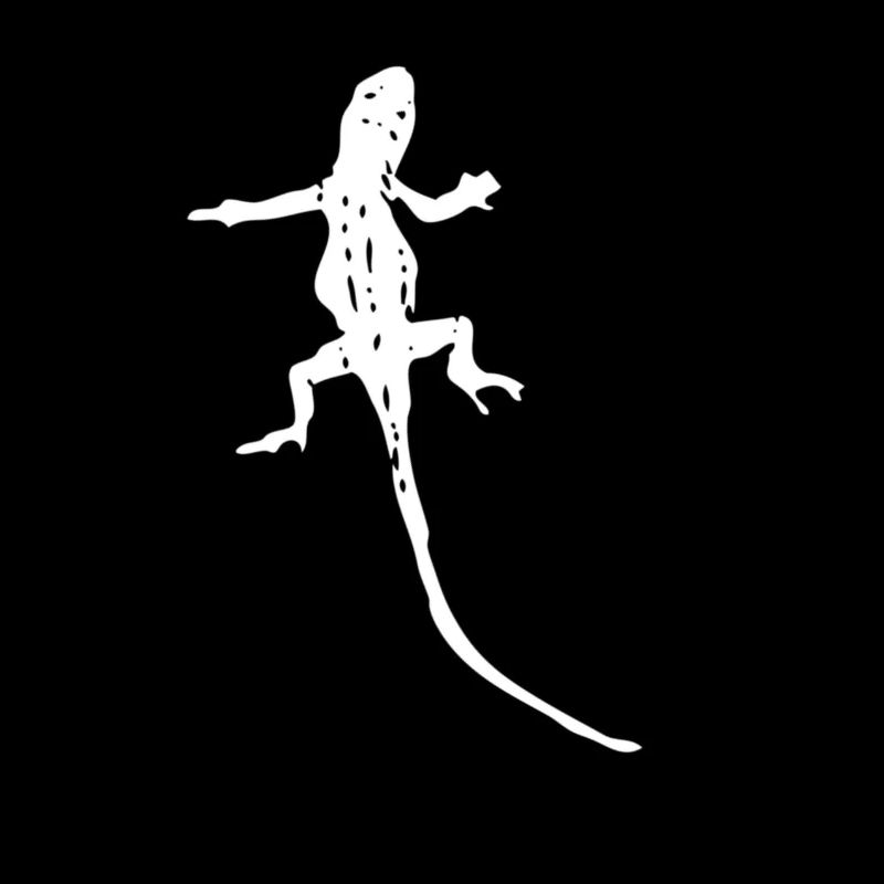 Reptiles Gekko lizard pet gift