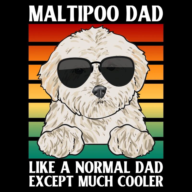 Chien Maltipoo