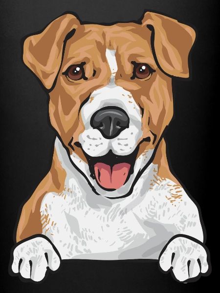 Jack Russell Terrier