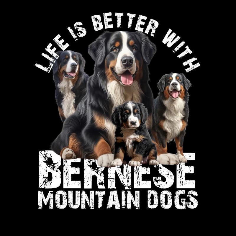 Berner Sennenhund