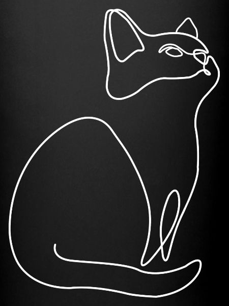 Chaton Chat Chat