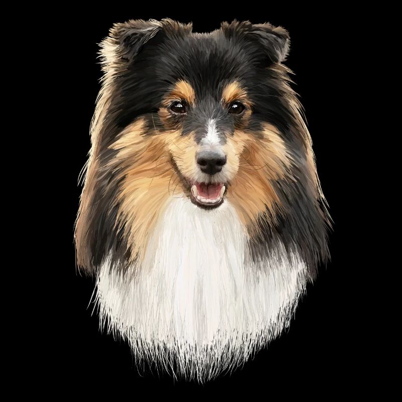Sheltie
