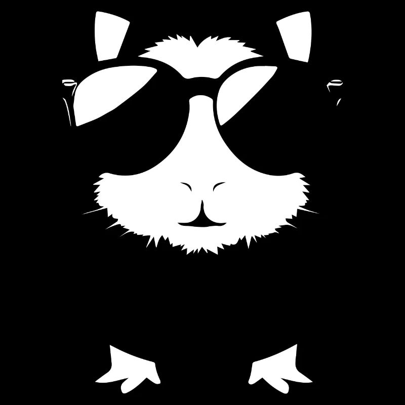 Cochon d’Inde drôle avec des lunettes de soleil Cochons d’Inde