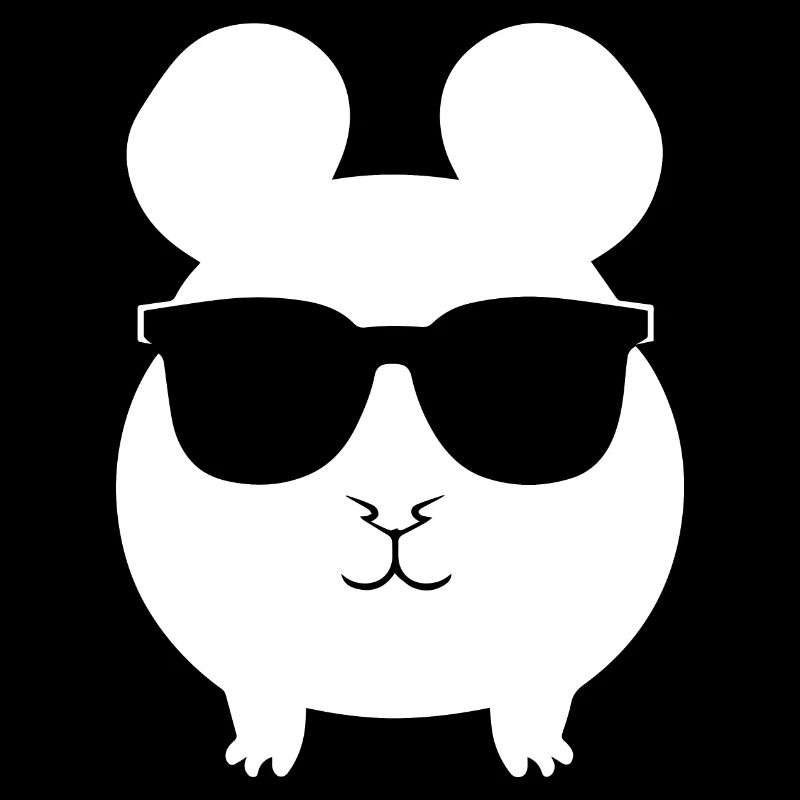 Cochon d’Inde drôle avec des lunettes de soleil Cochons d’Inde