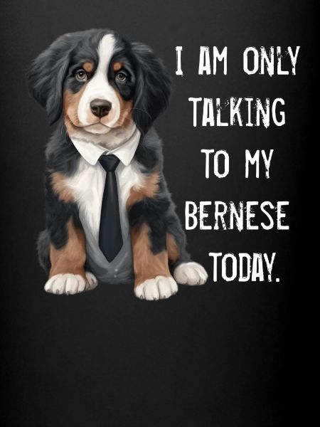 Bouvier bernois