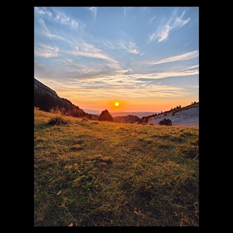 coucher de soleil dorée sur prairie alpine