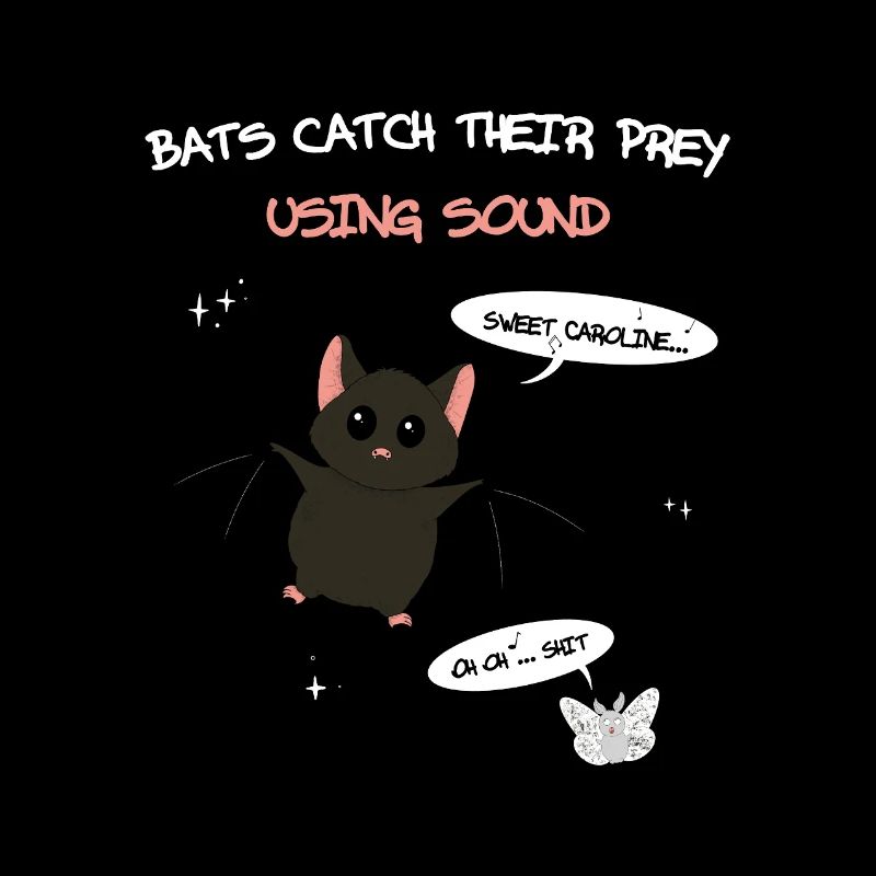 Bats catch their prey using sound