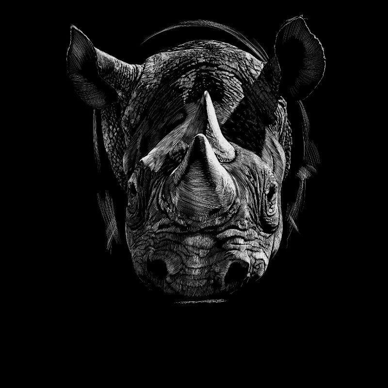 Nashorn