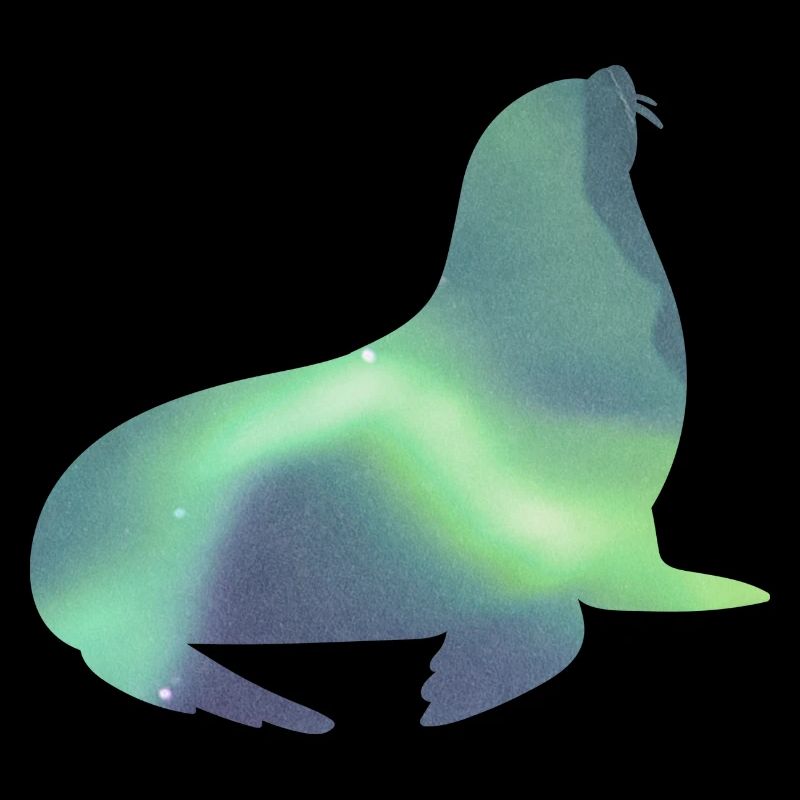 Island Robbe Seehund Polarlicht Aurora Borealis