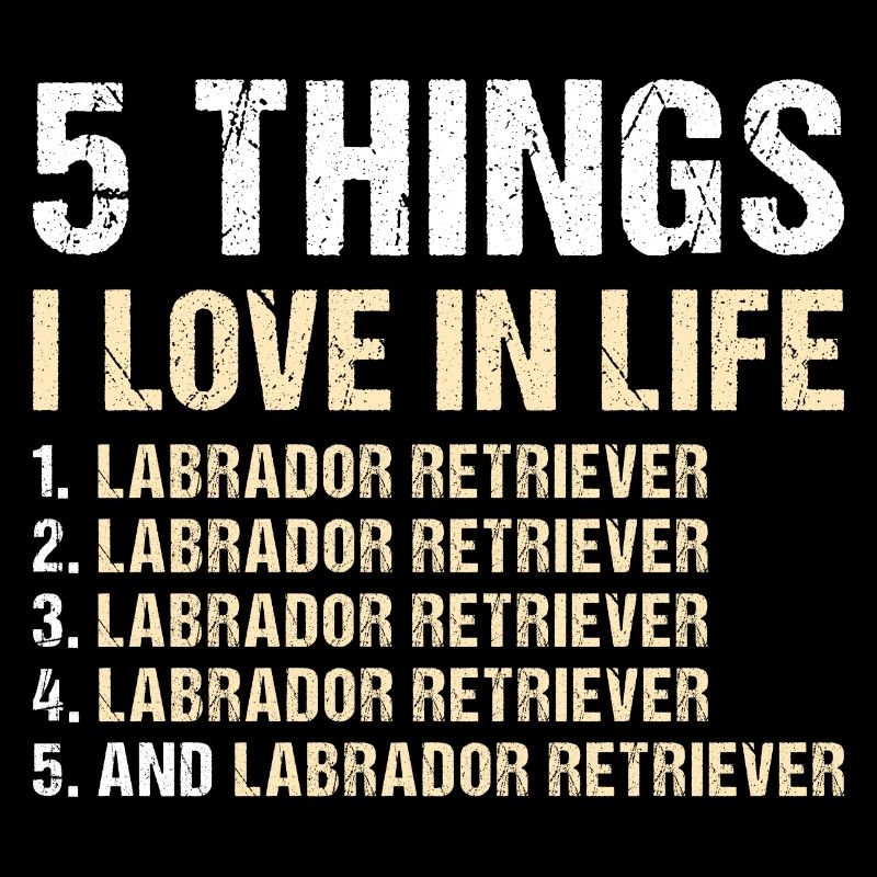 5 choses que j’aime dans la vie Labrador Retriever