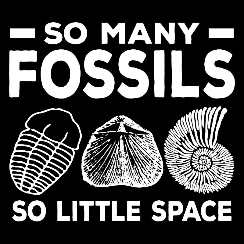 Fossil Collectors