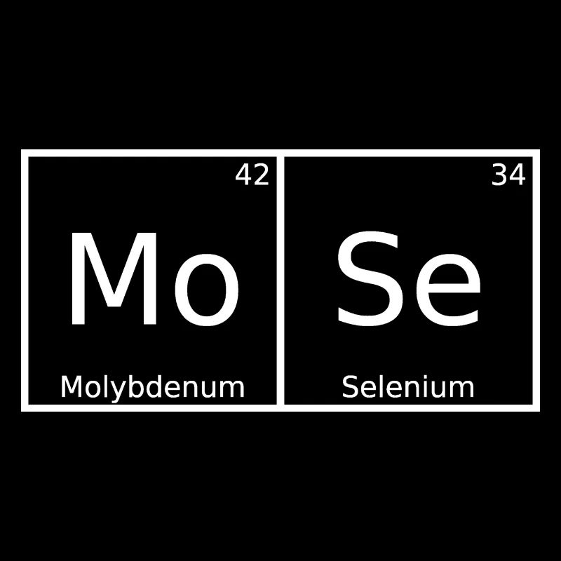 Moses Name First Name Chemistry Periodic Table Elements