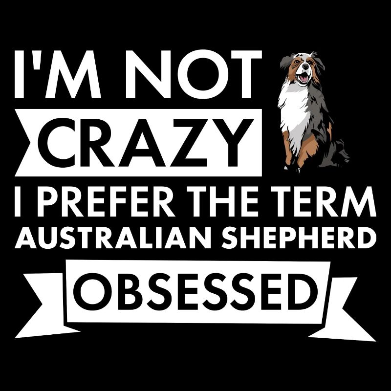 Chien pas fou Je préfère le terme Aussie Obsédé