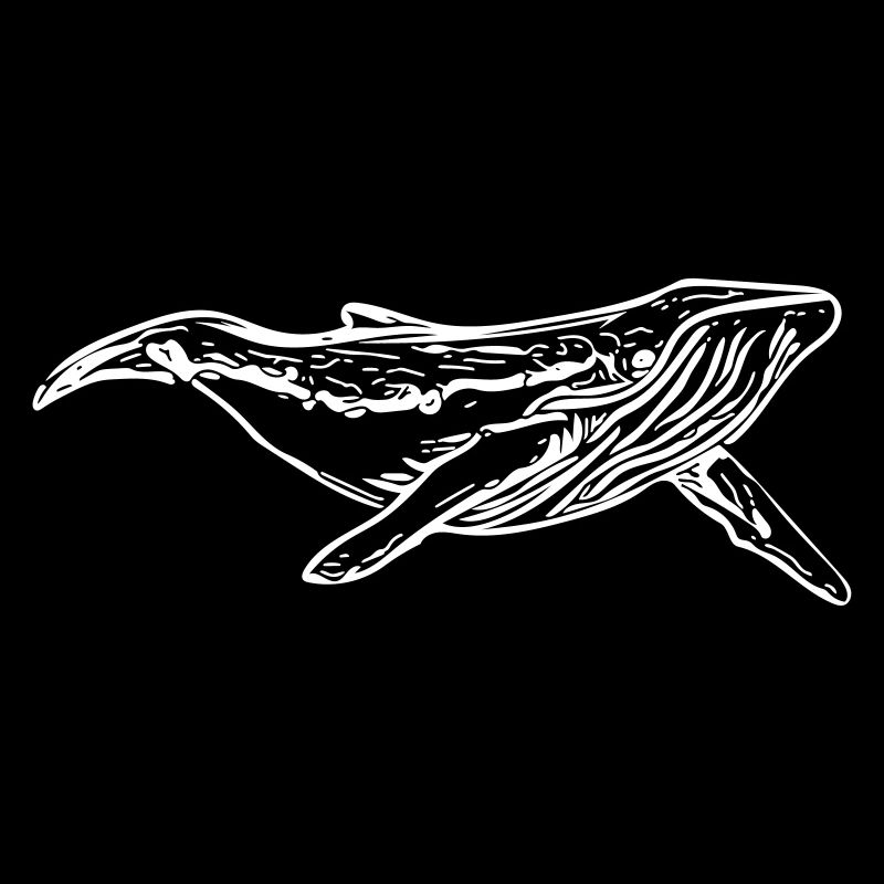 whale