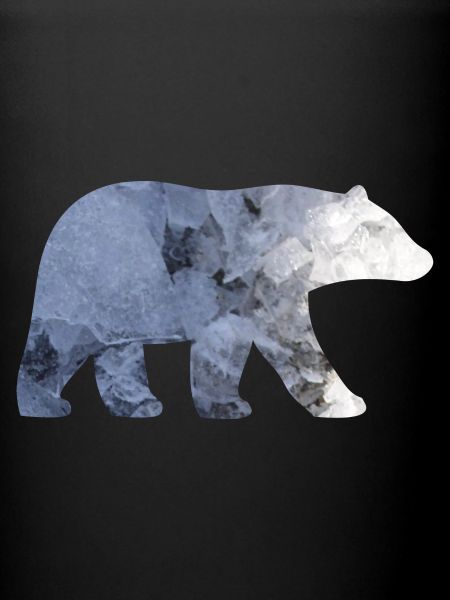 Ours polaire (b)