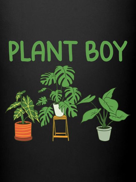 Plantes d’intérieur