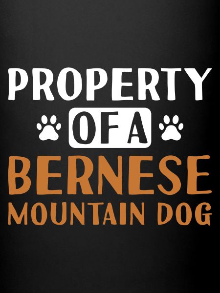 Propriété D’Un Bouvier Bernois