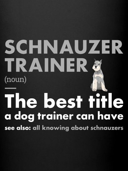 Schnauzer Trainer Definiton