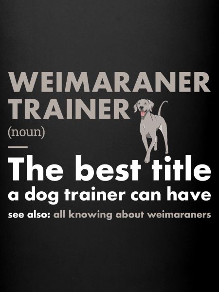 Weimaraner Trainer Definiton