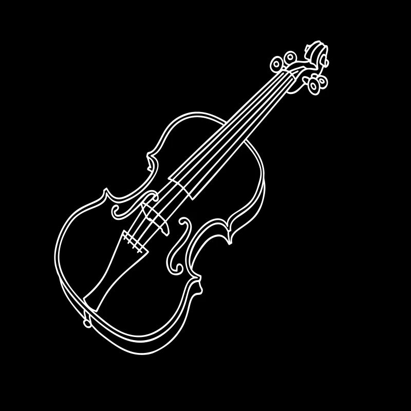 Violin / fiddle